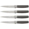 BergHOFF Leo 4pc Steak Knife Set Home 1 BergHOFF Leo 4pc Steak Knife Set Home -BergHOFF Shop 3010589696 RLLD 1