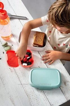 BergHOFF Leo To Go Kids Lunch Set -BergHOFF Shop 3950230 3