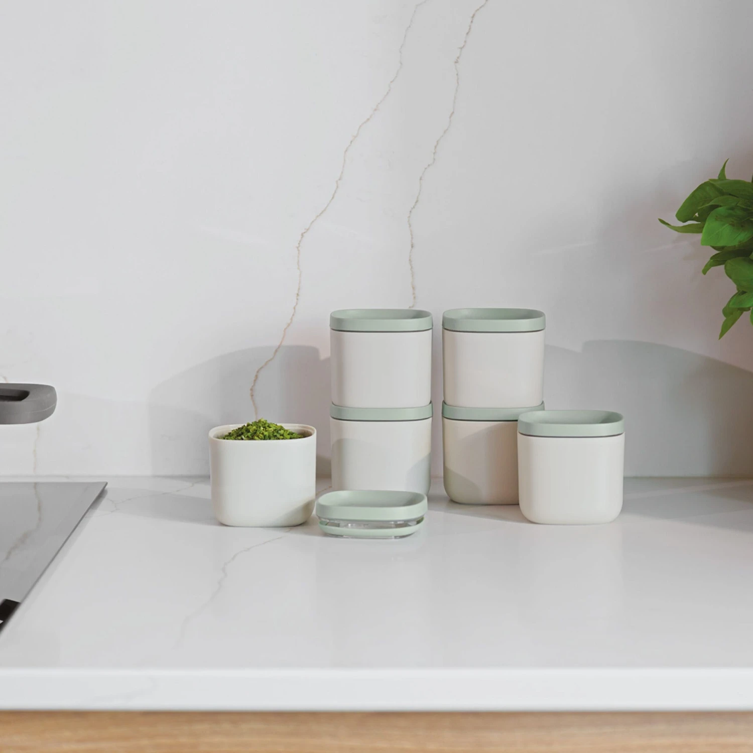 BergHOFF Balance 6Pc Covered Food Container Set 5.4oz. 6 BergHOFF Balance 6Pc Covered Food Container Set 5.4oz. - Image 4