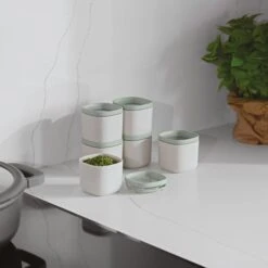 BergHOFF Balance 6Pc Covered Food Container Set 5.4oz. 17 BergHOFF Balance 6Pc Covered Food Container Set 5.4oz. -BergHOFF Shop 3950401 06 e45699a4 039d 4c3f 8f27 7c1b6c159a91