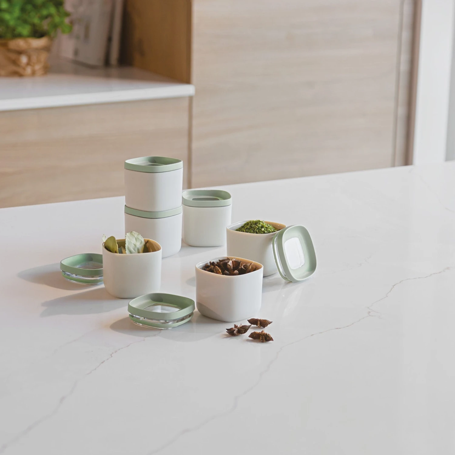 BergHOFF Balance 6Pc Covered Food Container Set 5.4oz. 9 BergHOFF Balance 6Pc Covered Food Container Set 5.4oz. - Image 7