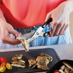 BergHOFF Graphite Stainless Steel Poultry Shears 9.75" -BergHOFF Shop 3950408 3