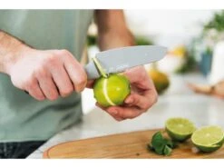 BergHOFF Leo 4.25" Stainless Steel Vegetable Knife With Zester, Gray 8 BergHOFF Leo 4.25" Stainless Steel Vegetable Knife With Zester, Gray -BergHOFF Shop Berghoff 3950043 3